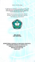 Gambaran Cemaran Telur Cacing STH (Soil Transmitted Helminths) Pada Lalapan Sawi Keriting Di Warung Makan Lamongan Jalan Sungai Raya Dalam / Ilham, Idul.-- Pontianak : PoltekkesKemenkes Pontianak JurusanAnalis Kesehatan, 2017.- 46 p