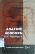 ANATOMI ABDOMEN