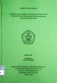 Gambaran Daya Hambat Air Rebusan Akar Kuning Terhadap Pertumbuhan Bakteri Salmonella typhi Dengan Metode Difusi