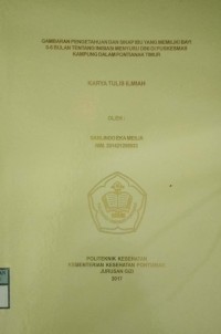 Gambaran Pengetahuan Dan Sikap Ibu Yang memiliki Bayi 0-6 Bulan Tentang Inisiasi Menyusu Dini Di Puskesmas Kampung Dalam Pontianak Timur