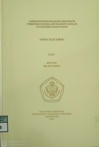 Gambaran Pengetahuan Ibu Dan Praktik Pemberian ASI Ekslusif Pada Byi )-6 Bulan Di Puskesmas Sungai Kakap