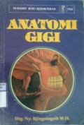 ANATOMI GIGI