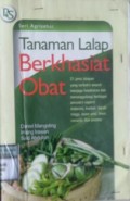 TANAMAN LALAP BERKHASIAT OBAT